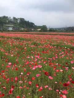 社員研修に行ってきました～お楽しみ編～