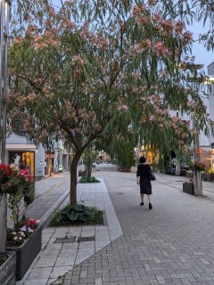 暮らしのコラム～香りのある生活①草木の香り～