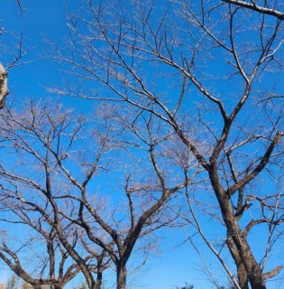 アイディールの分譲地百景！