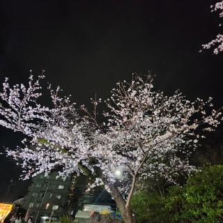 八王子で後悔しない家を建てるための、アイディール流・家づくり完全ガイド⑤「断熱・気密の設計」